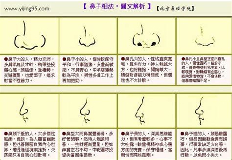 鼻毛長面相|【鼻子長面相】注意力! 長鼻子原來代表5種註定大富大貴的面相